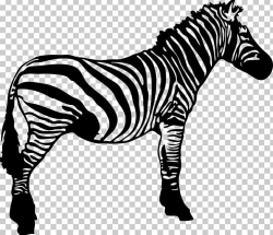 Zebra Black And White Stripe PNG, Clipart, Animal, Animals ...