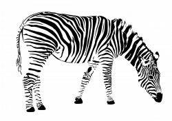 Clipart - zebra