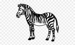 How To Draw Zebra For Kids Easy Step By Step - Zebra ...
