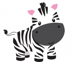 Zebra Clipart Easy Draw Pencil And In Color Zebra, Baby ...