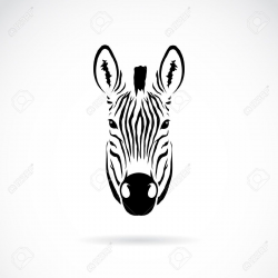 zebra head front on - Google Search | Tattoos | Graphic ...