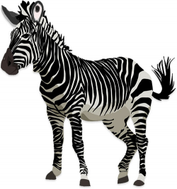Free Zebra Clipart - Graphics