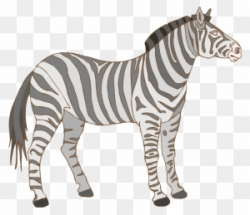 Zebra Clipart grey 22 - 300 X 259 Free Clip Art stock ...