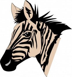 Zebras | Free Stock Photo | Illustration of a zebra head | # 3432