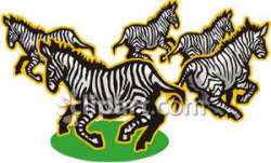 Group of Five Zebras Running In a Stampede Royalty Free ...