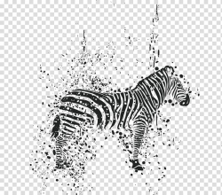 Black zebra , T-shirt Lion Zebra Painting, Ink zebra ...