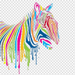 T-shirt Zebra Designer Watercolor painting, Color Zebra ...