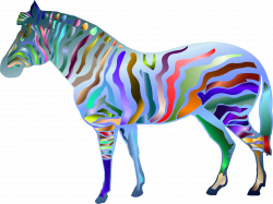 Prismatic Zebra Icons PNG - Free PNG and Icons Downloads