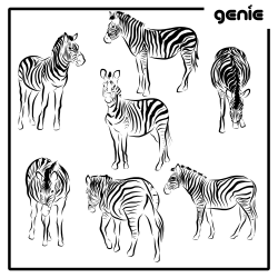 Zebra Vector Graphic Illustration Hand Drawn Drawing Clipart Sketch -  Royalty Free Digital Instant Download PDF SVG PNG - GENIE WEB & GRAPHIC  DESIGN