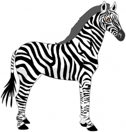 Free Zebra Cliparts, Download Free Clip Art, Free Clip Art ...