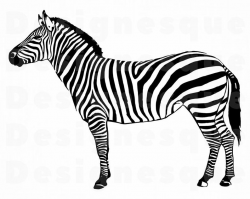 Zebra #2 SVG, Zebra SVG, Zebra Clipart, Zebra Files for Cricut, Zebra Cut  Files For Silhouette, Zebra Dxf, Zebra Png, Zebra Eps Zebra Vector