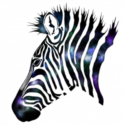 Galaxy Zebra by Rage-Melon on DeviantArt
