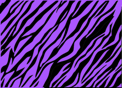 Purple And Black Zebra Print Clip Art at Clker.com - vector ...