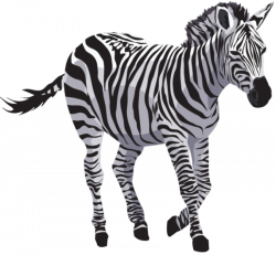 Zebra Quagga Clip art - zebra png download - 850*788 - Free ...