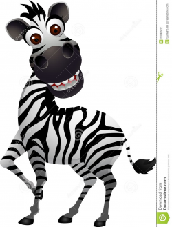 Funny and Cute Zebra | Funny zebra cartoon | Funny zebras ...