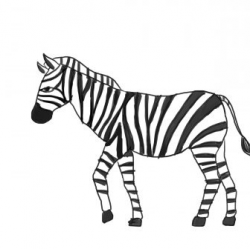 Zebra Drawing | Free download best Zebra Drawing on ...