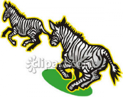 Two Running Zebras - Royalty Free Clipart Picture