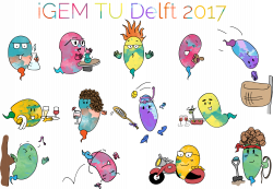 Team:TUDelft/Team - 2017.igem.org
