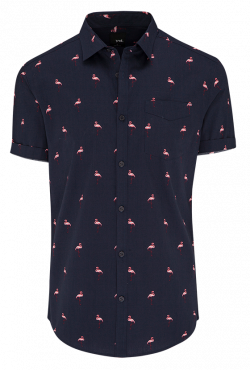 Flamingo Ss Shirt | Pinterest
