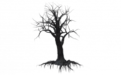 Scary Tree Drawing at GetDrawings.com | Free for personal use Scary ...