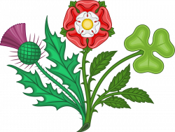 Rose, shamrock and thistle - Wikimedia Commons