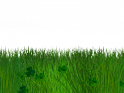 Green Grass and Clover Border with Transparent Background PNG ...