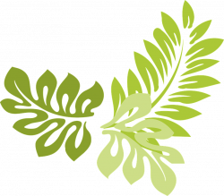 Collection of Leaves Cliparts | Buy any image and use it for free ...