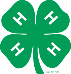 Maumee Go Getters 4-H Club March Meeting | West Bend News