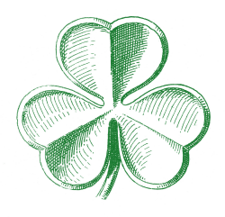 5 Clover Shamrock Images! - The Graphics Fairy