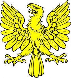 Shield Eagle Bird Gold Coat PNG Image - Picpng