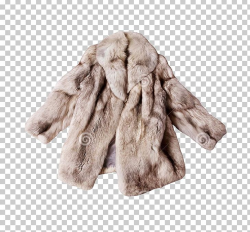 Fur Clothing Stock Photography Coat PNG, Clipart, Clothing ...