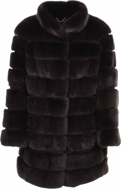 Fur clothing Black PNG Image - PurePNG | Free transparent CC0 PNG ...