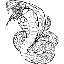 cobra snake coloring pages angry snake cobra e1531692066335 ...