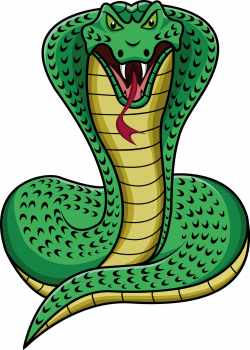 Cobra snake PNG images free download