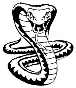 King Cobra Snake Drawings | Cobra | Snake drawing, Cobra ...