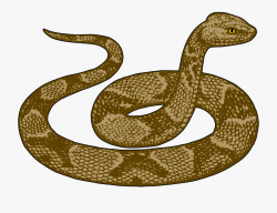 Reptile Clipart Transparent - Desert Snake Clipart #653388 ...