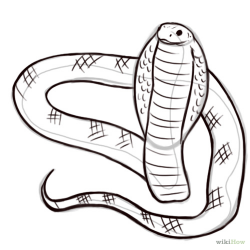 Free Cobra Drawing, Download Free Clip Art, Free Clip Art on ...