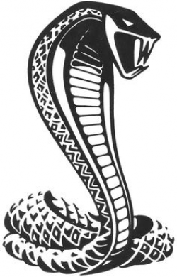 7 Best cobra stencils images in 2016 | Snake art, Cobra ...