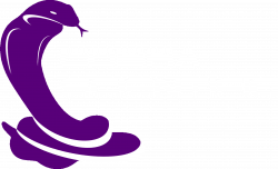 Cobra Scientific - Ultrasonic Testing Library