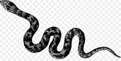 Snake Cartoon clipart - Snakes, Snake, Text, transparent ...