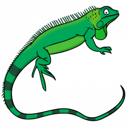 Reptile clipart - Pencil and in color reptile clipart