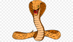 Snake Cartoon png download - 600*509 - Free Transparent ...