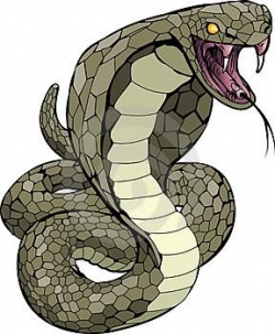 Scary Snake Cartoon snake tattoo images & designs | harry ...
