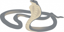 Cobra snake PNG images free download
