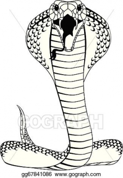 Vector Art - Cobra. Clipart Drawing gg67841086 - GoGraph
