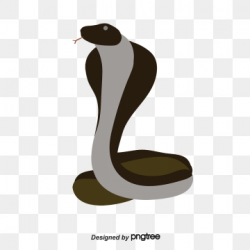 Cobra Snake Png, Vector, PSD, and Clipart With Transparent ...