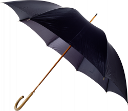 Cocktail umbrella Clip art - Parasol 1245*1080 transprent Png Free ...
