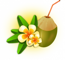 Caribbean clipart coconut drink - Pencil and in color caribbean ...