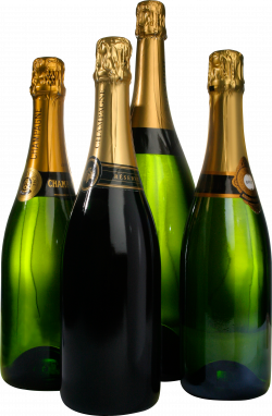 Sparkling Wine From A Bottle PNG Image - PurePNG | Free transparent ...