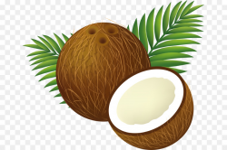 Coconut water Coconut milk Clip art - coconut png download - 721*600 ...
